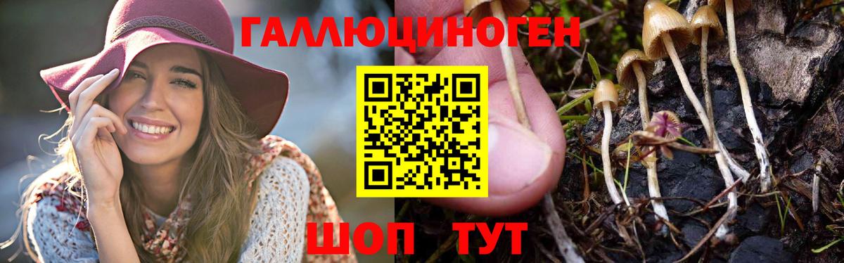 Псилоцибиновые грибы прущие грибы Майский